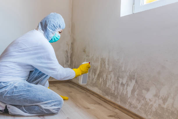Mold Remediation specialist working in Tomball